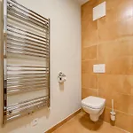 公寓 In Mittersill By Lift & Sauna