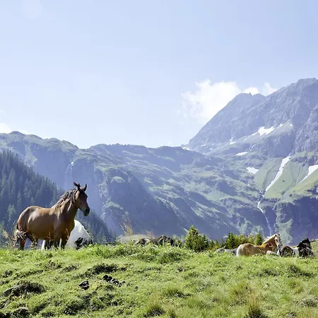 In Mittersill By Lift & Sauna Hollersbach im Pinzgau