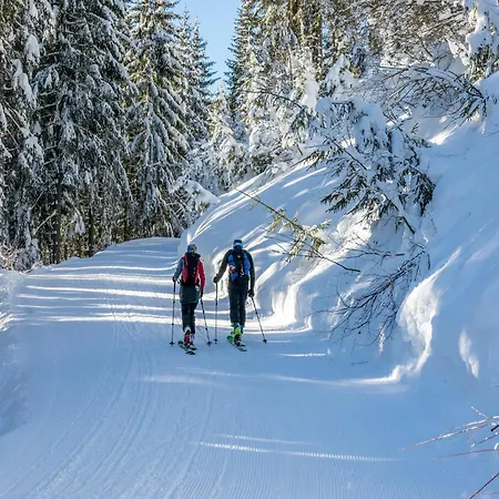 In Mittersill By Lift & Sauna * Hollersbach im Pinzgau